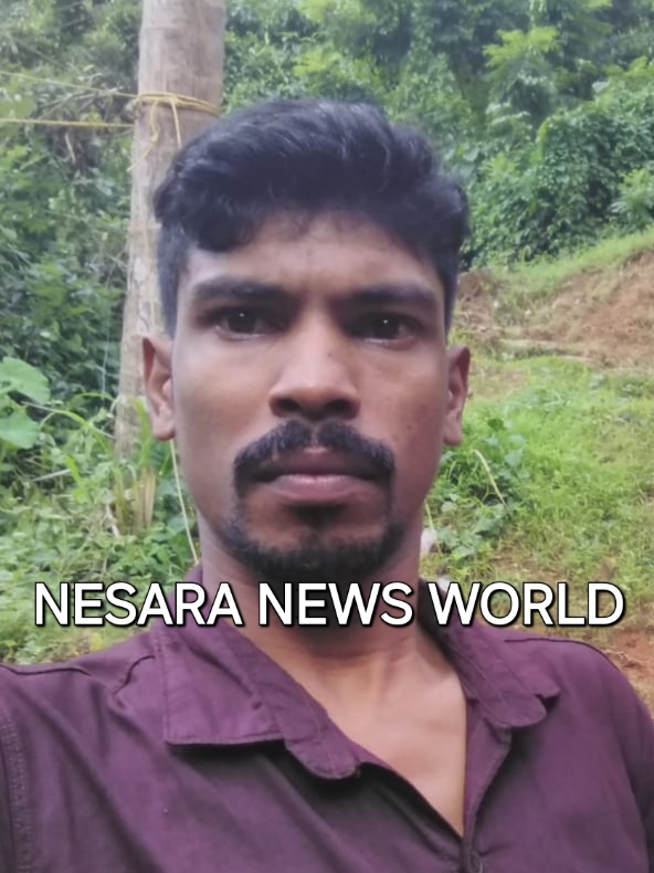 Nellyady Crime News