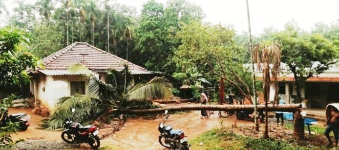 ಭಾರಿ ಗಾಳಿ ಮಳೆ ಆರ್ಭಟ: ತೆಂಗಿನ ಮರ ಬಿದ್ದು ಮನೆಗೆ ಹಾನಿ