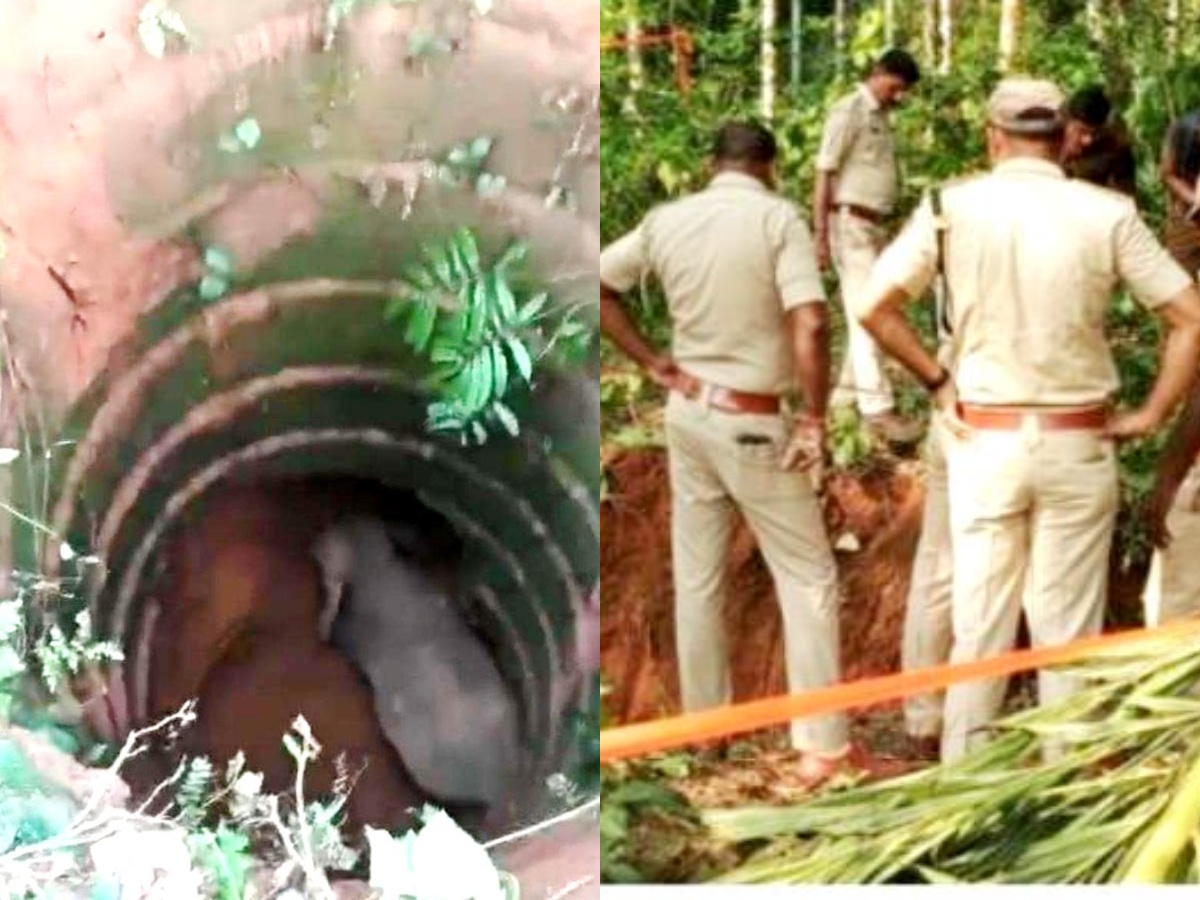 ಕಲ್ಚರ್ಪೆ ಬಳಿ ಬಾವಿಗೆ ಬಿದ್ದ ಕಾಡಾನೆ; ಆನೆಯ ರಕ್ಷಣಾ ಕಾರ್ಯಾಚರಣೆ 