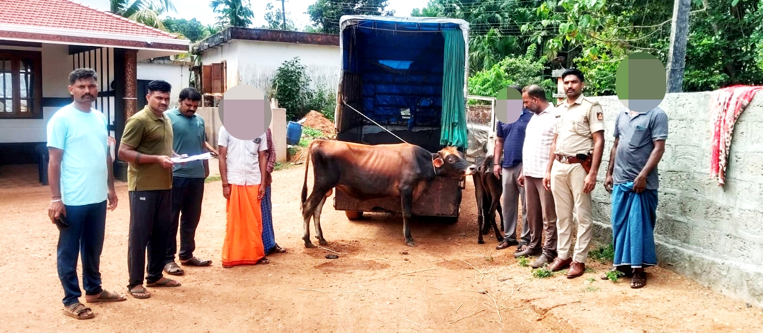 ವಿಟ್ಲದಲ್ಲಿ ಅಕ್ರಮ ಗೋಸಾಗಾಟ ಪತ್ತೆ; ಪೊಲೀಸರ ಮೇಲೆಯೇ ಕಾರು ಹರಿಸಿ ಪರಾರಿಯಾದ ಆರೋಪ; ಇಬ್ಬರ ವಿರುದ್ಧ ಪ್ರಕರಣ ದಾಖಲು