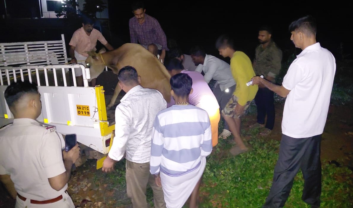 ಅಕ್ರಮವಾಗಿ ಪಿಕಪ್ ವಾಹನದಲ್ಲಿ ದನ ಸಾಗಾಟ; 4 ಆರೋಪಿಗಳ ವಿರುದ್ಧ ಪ್ರಕರಣ ದಾಖಲು