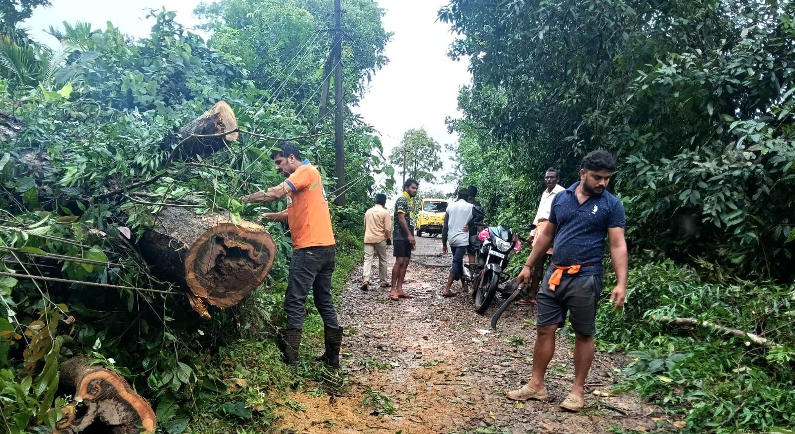 ಶಿಶಿಲ: ರಸ್ತೆ-ವಿದ್ಯುತ್ ತಂತಿ ಮೇಲೆ ಬಿದ್ದ ಮರ; ಶೌರ್ಯ ವಿಪತ್ತು ನಿರ್ವಹಣಾ ಘಟಕದ ತ್ವರಿತ ಕಾರ್ಯಾಚರಣೆ
