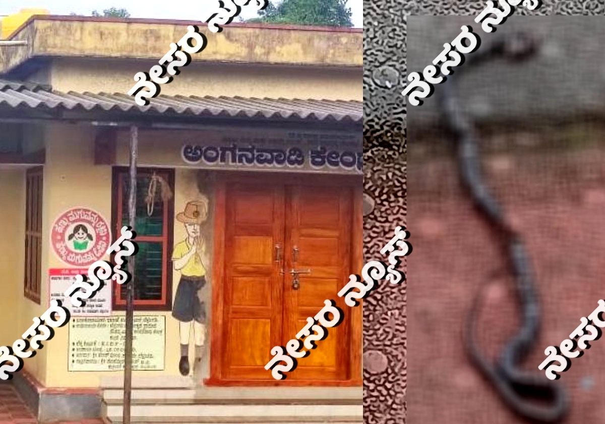 ಸೌತಡ್ಕ: ಅಂಗನವಾಡಿಯಲ್ಲಿ ಆಟಿಕೆಯ ನಡುವೆ ಅಡಗಿದ್ದ ಹಾವು ಕಚ್ಚಿ ನಾಲ್ಕು ವರ್ಷದ ಬಾಲಕಿ ಆಸ್ಪತ್ರೆಗೆ