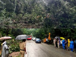 ರಸ್ತೆಗೆ ಉರುಳಿದ ಬೃಹತ್ ಮರ: ಒಂದೂವರೆ ಗಂಟೆಗೂ ಅಧಿಕ ಸಂಚಾರ ಸ್ಥಗಿತ