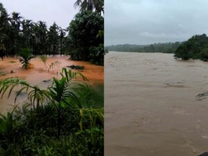 ನೆಲ್ಯಾಡಿ: ಧಾರಾಕಾರ ಮಳೆಗೆ: ಗುಂಡ್ಯಹೊಳೆ ಪ್ರವಾಹ, ಕೃಷಿಭೂಮಿ ಜಲಾವೃತ