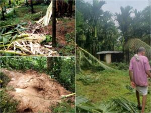 ಕಳೆಂಜ–ಸಿಬಂತಿಯಲ್ಲಿ ಕಾಡಾನೆಗಳ ಹಾವಳಿ; ಪ್ರತಿದಿನ ಕೃಷಿ ತೋಟಗಳೇ ಟಾರ್ಗೆಟ್!