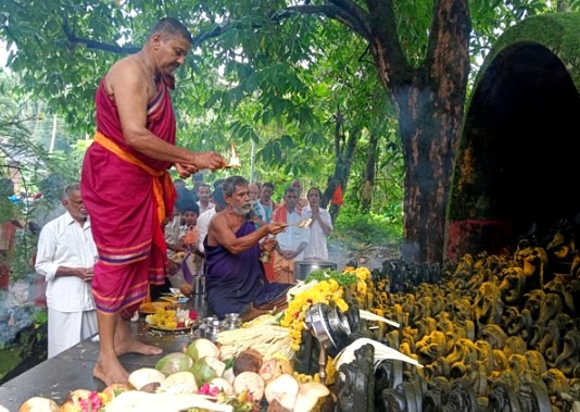 ನೆಲ್ಯಾಡಿ: ದೊಂತಿಲ ಕ್ಷೇತ್ರದಲ್ಲಿ ನಾಗರಪಂಚಮಿ